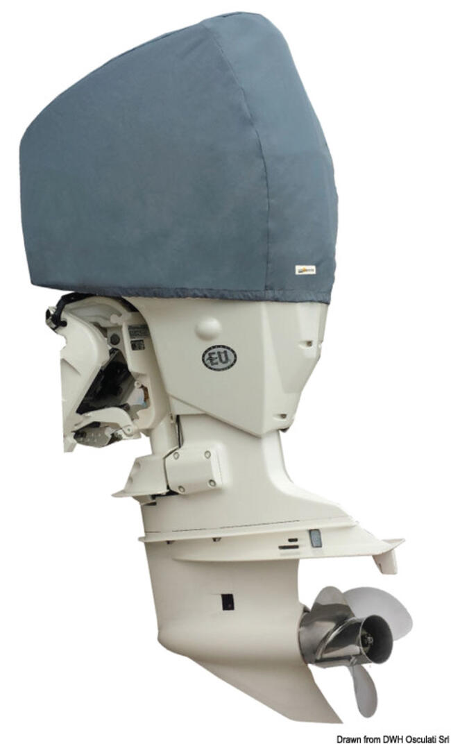 Coprimotore Evinrude Sartoriale