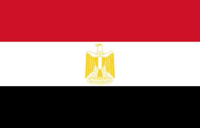 Bandiera Egitto 40 X 60 Cm