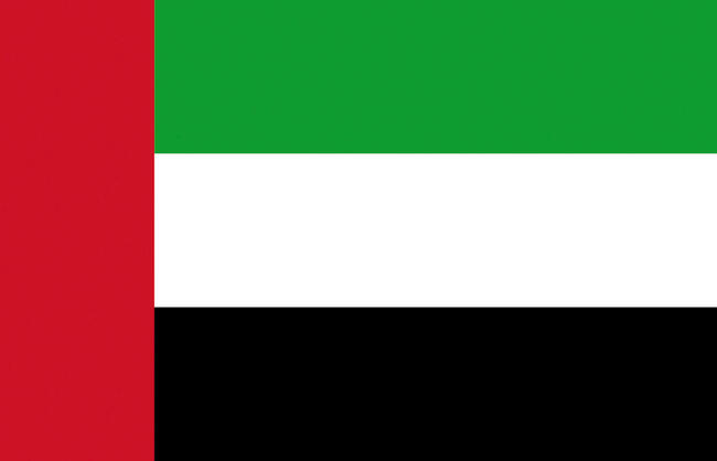 Bandiera Emirati Arabi Uniti 20 X 30 Cm