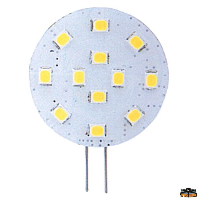 Lampadine A 12 Led Smd