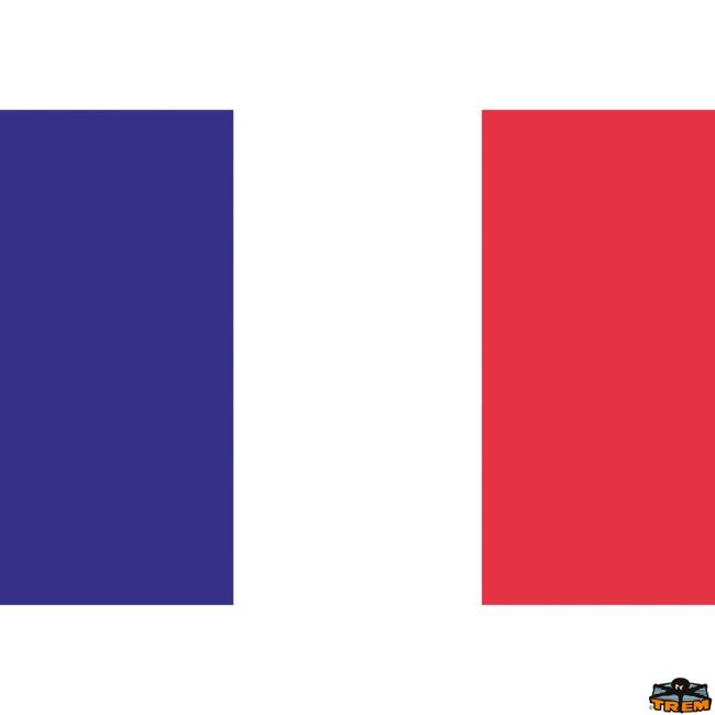 Bandiera Francia Dimensioni 200x300 Mm
