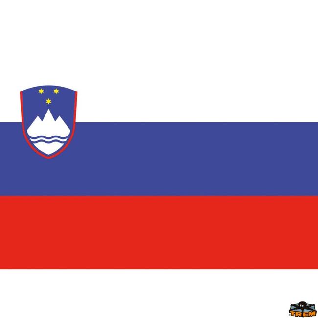 Bandiera Slovenia Dimensioni 200x300 Mm