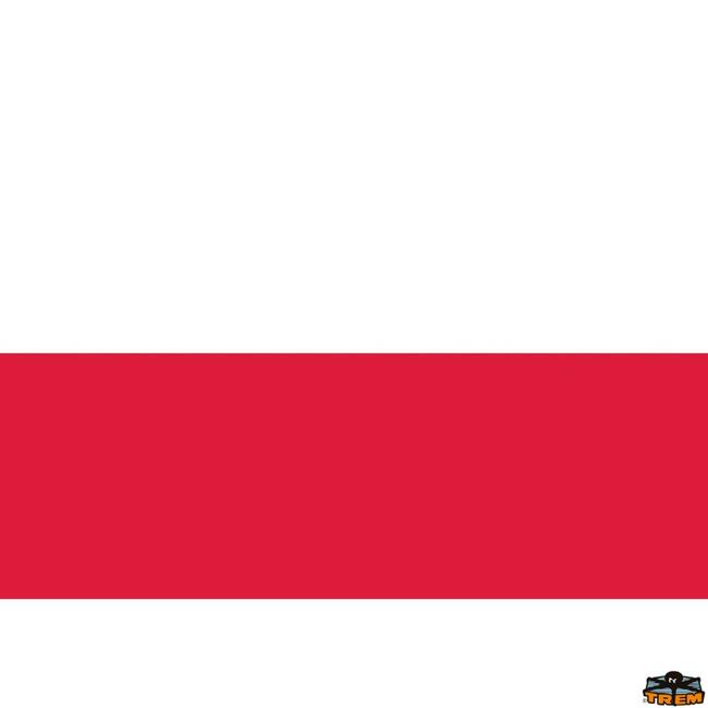 Bandiera Polonia Dimensioni 200x300 Mm
