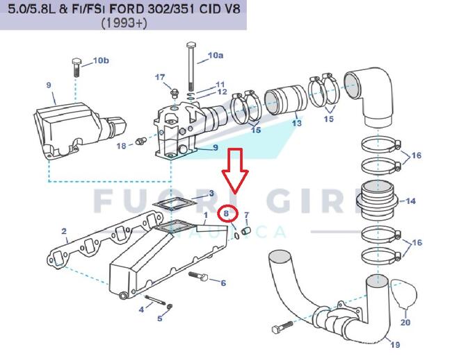Fasce Elastica Compatibile Per Volvo Penta 5.0/5.8l & Fi/fsi Ford 302/351 Recmar